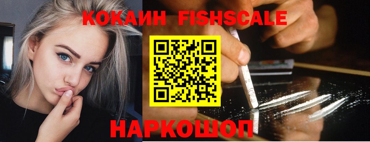 Шадринск  Cocaine  Вход с VPN  Cocaine Fish Scale 