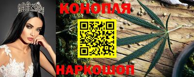 прущие крисы Мариинск