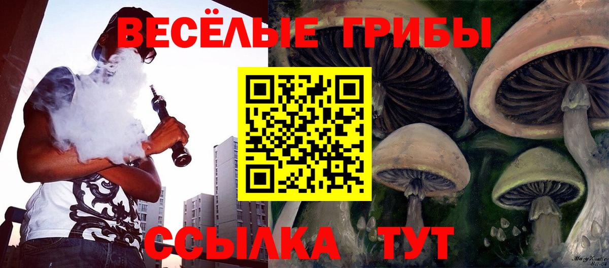 Шадринск  Галлюциногенные грибы Magic Shrooms  Вход с VPN 